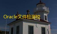 Oracle文件检测校验工具 3.0 绿色免费版